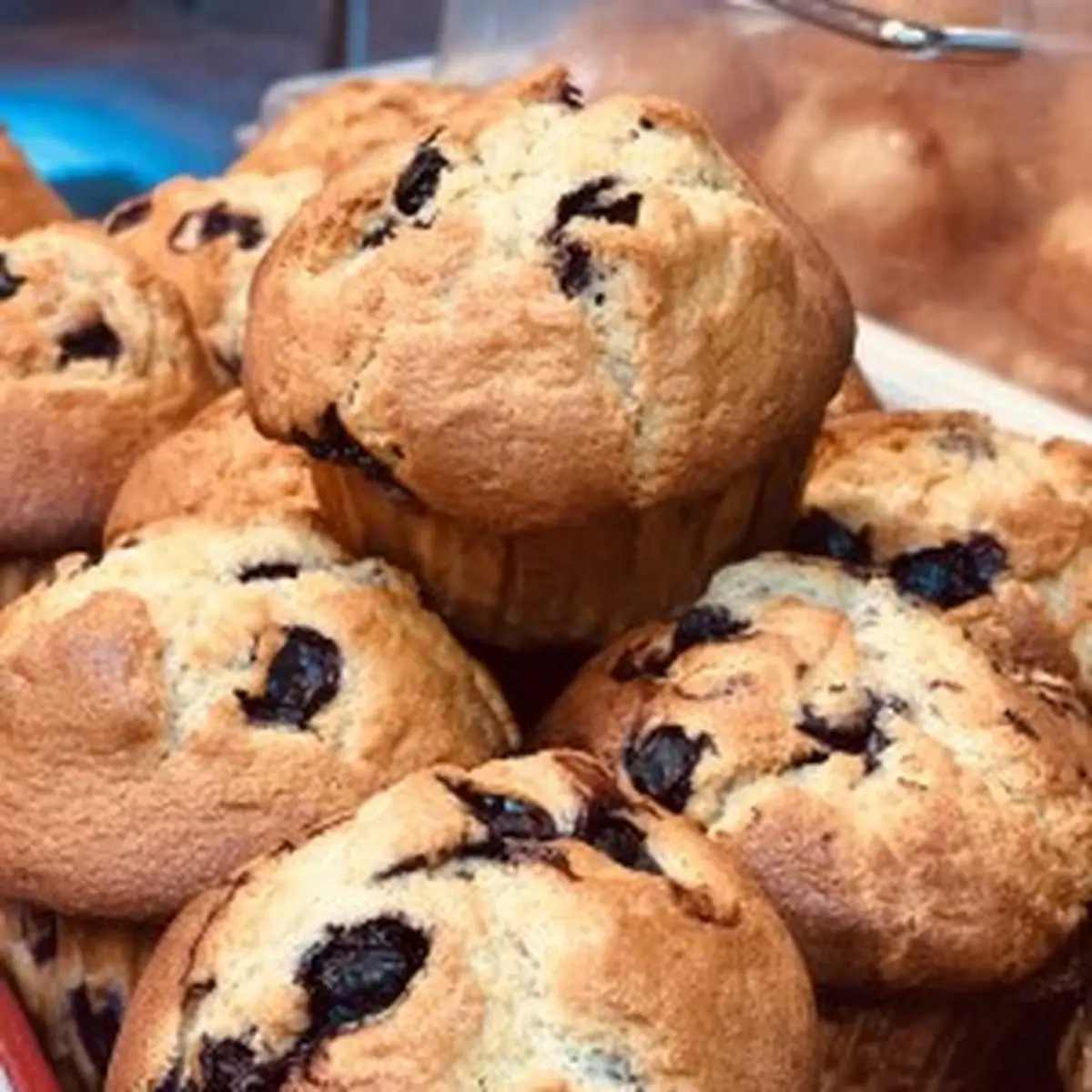 Jumbo Blueberry Muffin