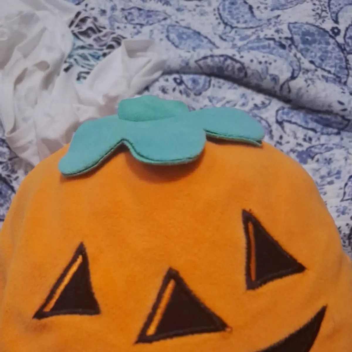 Homemade Pumpkin Pie