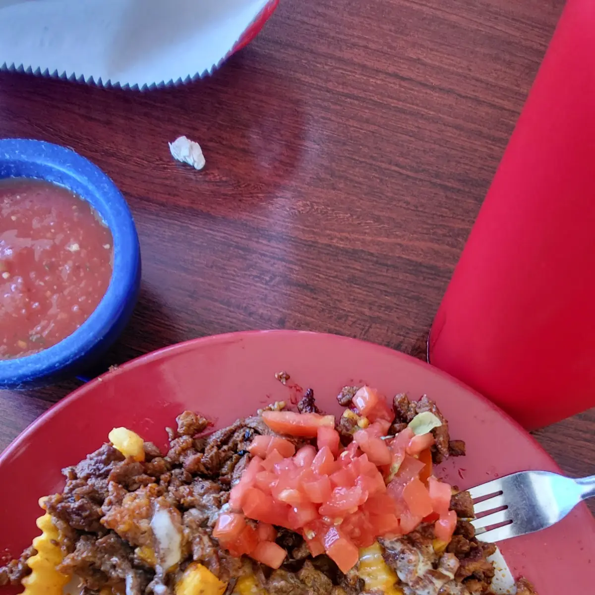 Carne Asada Fries