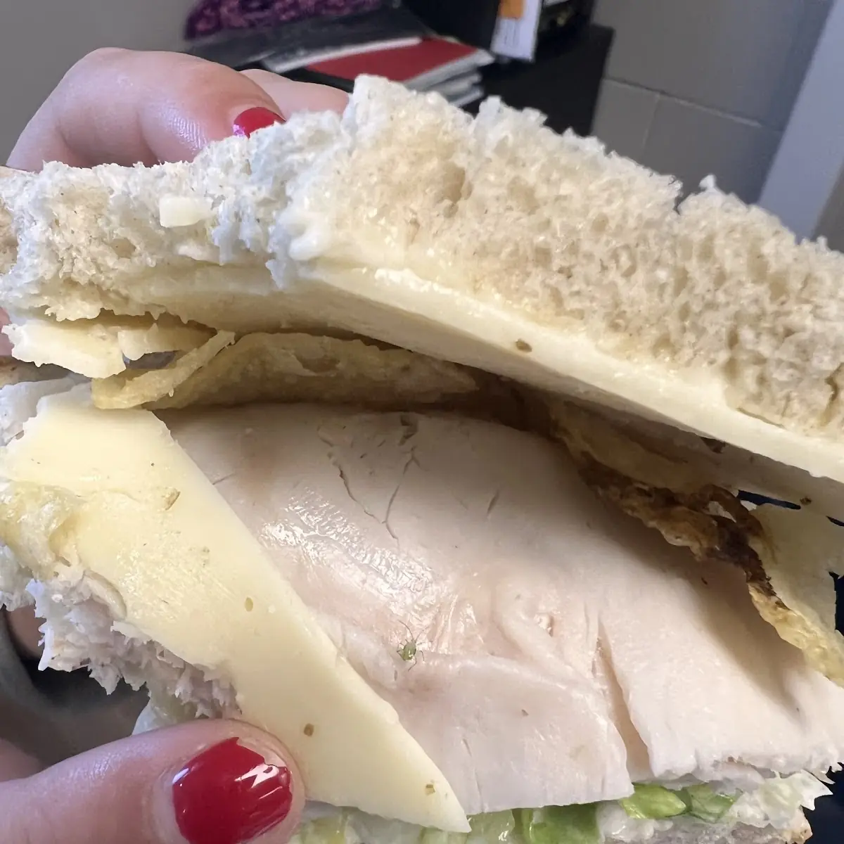 Turkey Sandwich