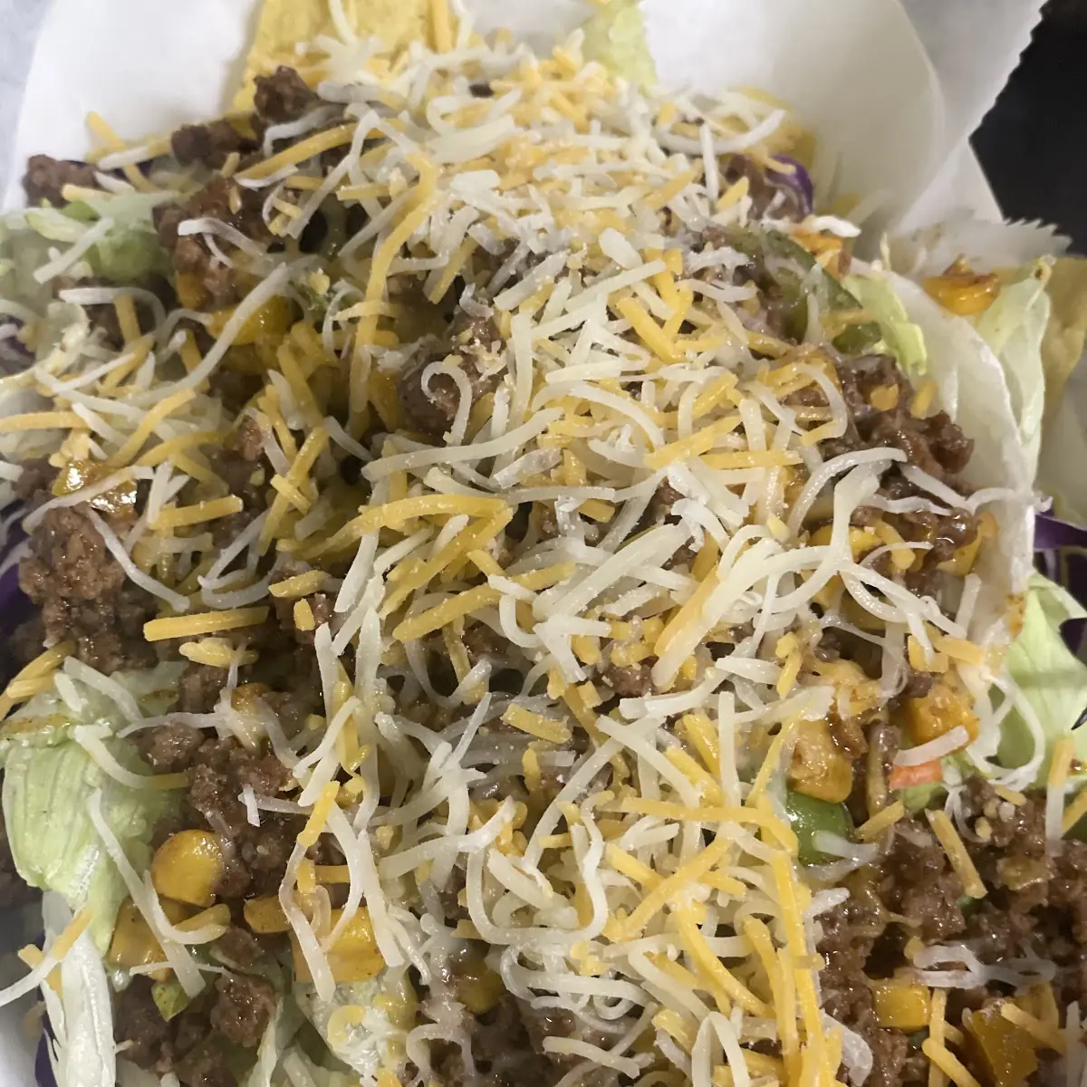 Carne Asada Fries