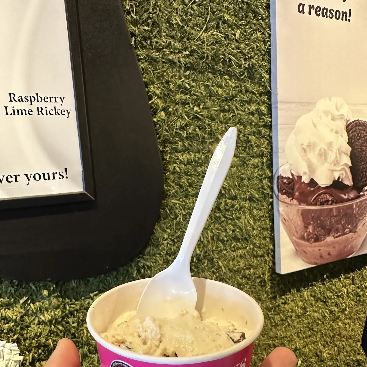 Rum Raisin Ice Cream