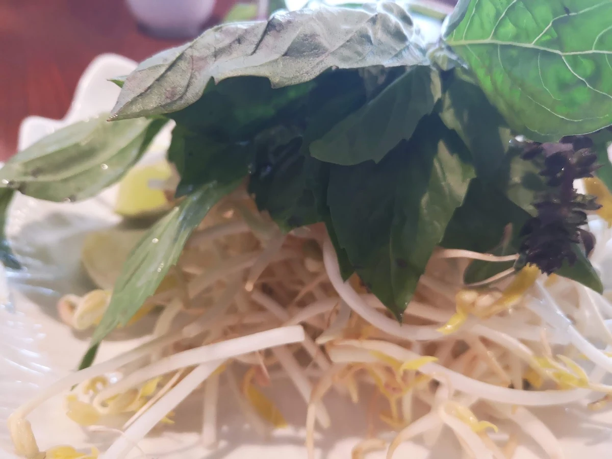 Rare Beef Noodle Soup, Pho V