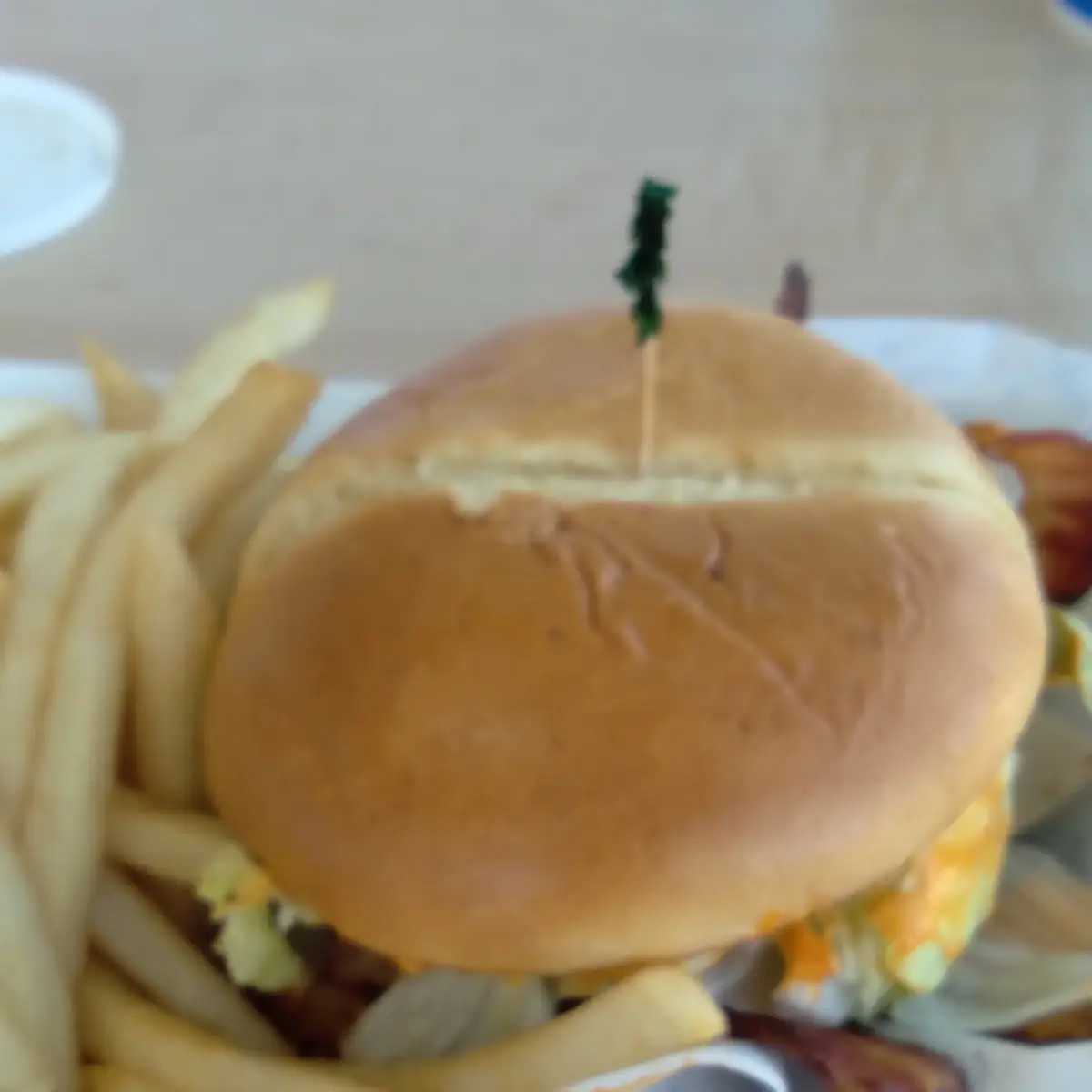 Flamethrower Burger with Fries