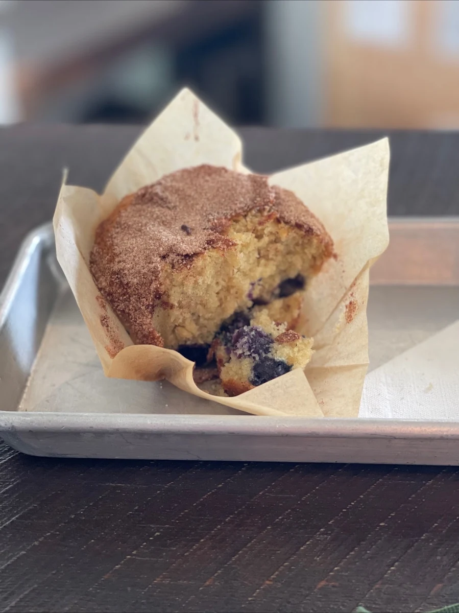 Blueberry Muffin