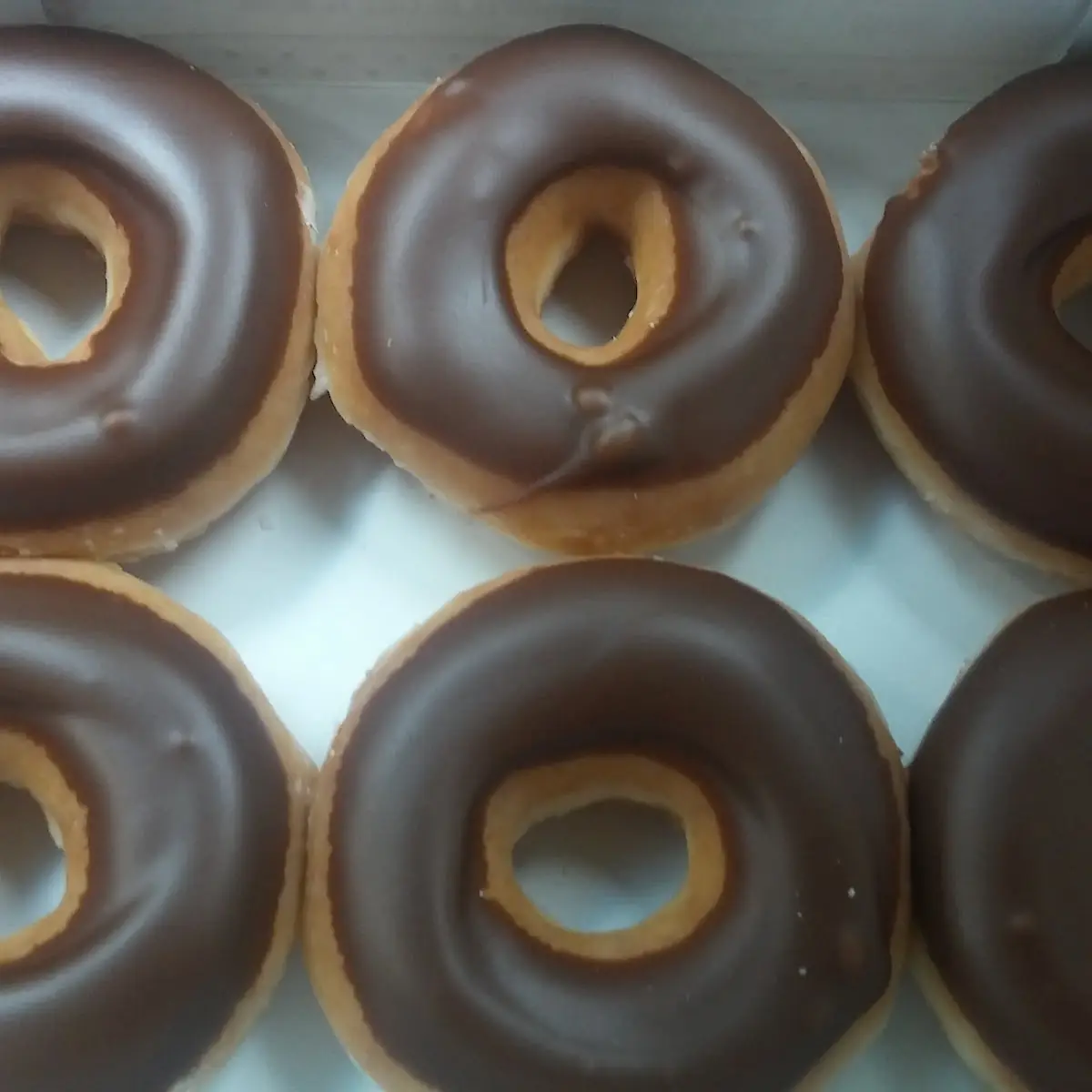 Chocolate Iced Glazed Donuts