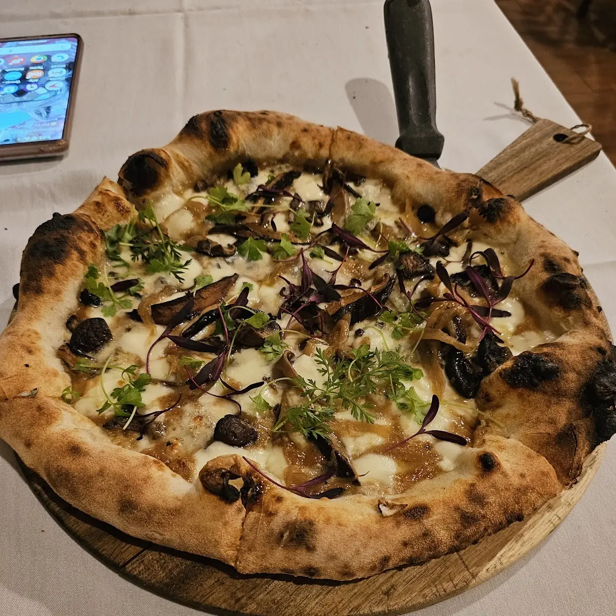 Funghi - Wild Mushroom Pizza