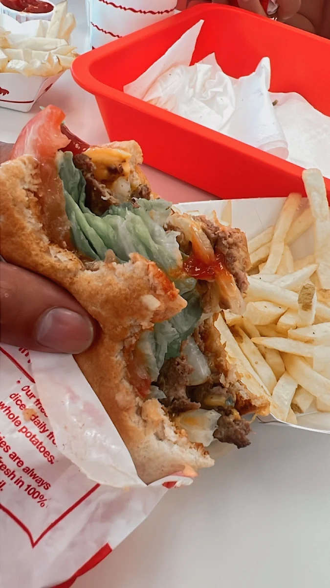 Double Double Hamburger