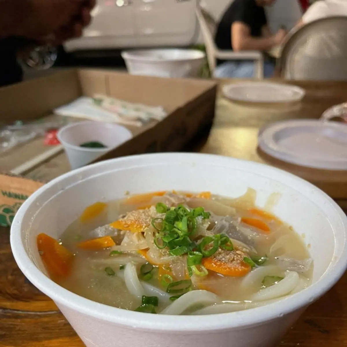 Chicken Udon Noodle Soup