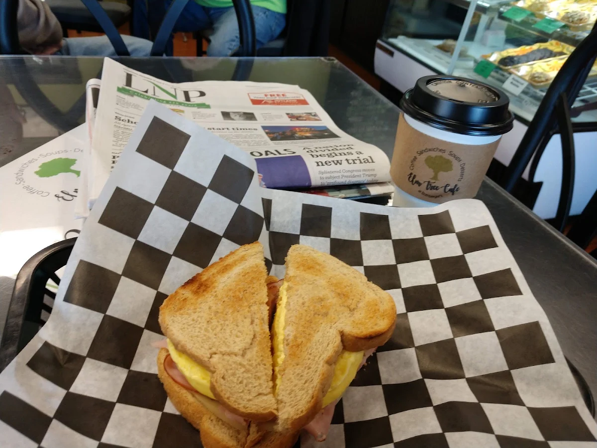 Ham Egg and Cheese Toasted Sandwich