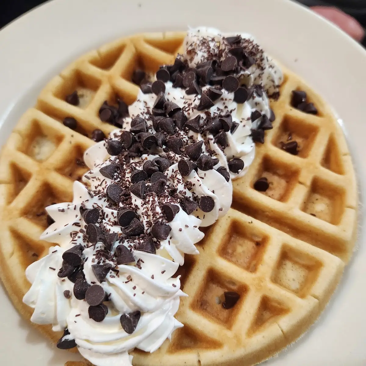 Chocolate Chip