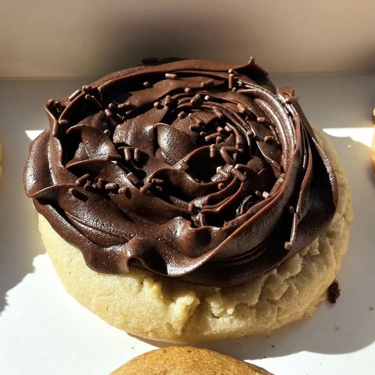 Chocolate Cupcake