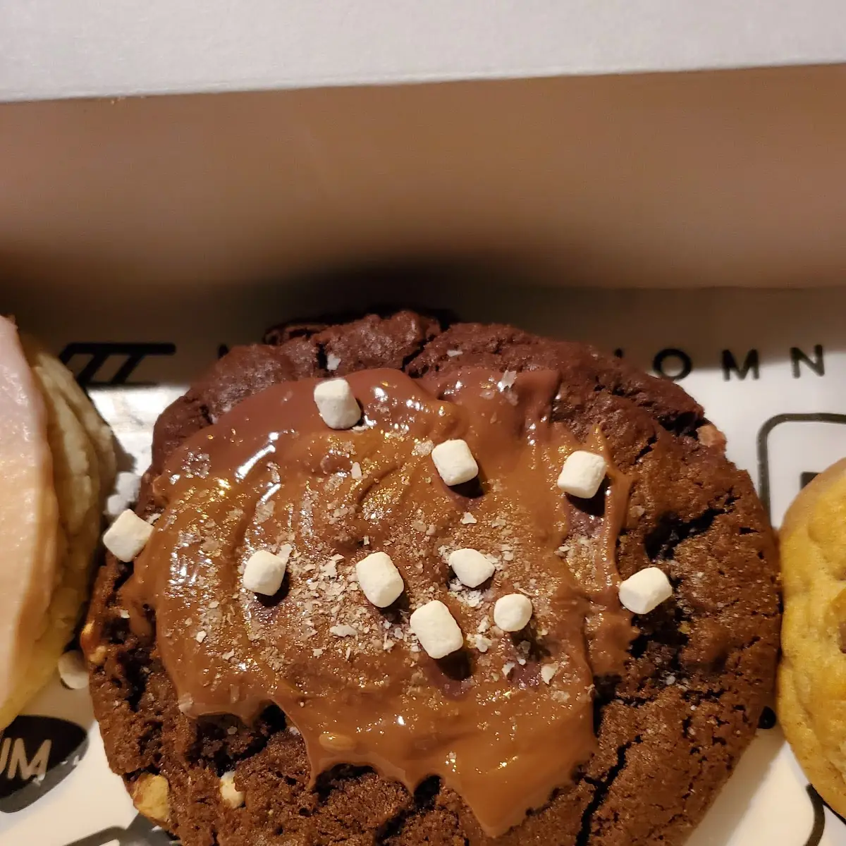 Hot Chocolate Cookie