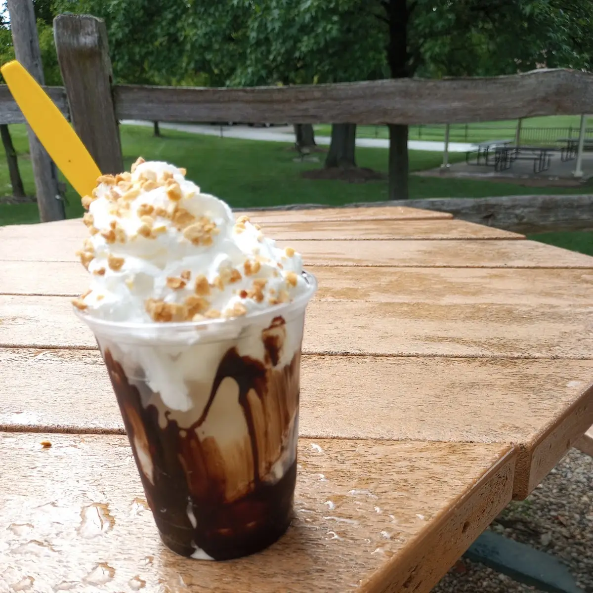 Hot Fudge Sundae with Extra Whipped Cream
