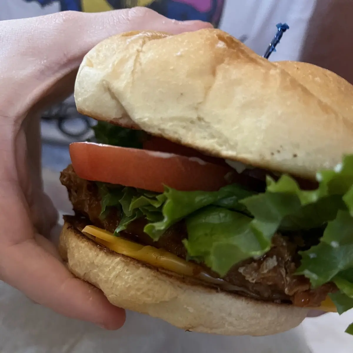 Chicken Sandwich