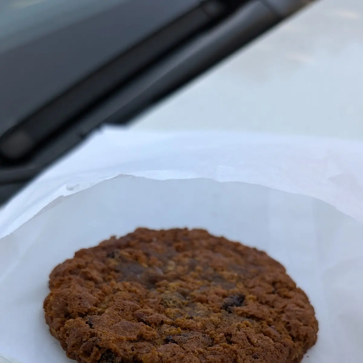 Oatmeal Raisin Cookie