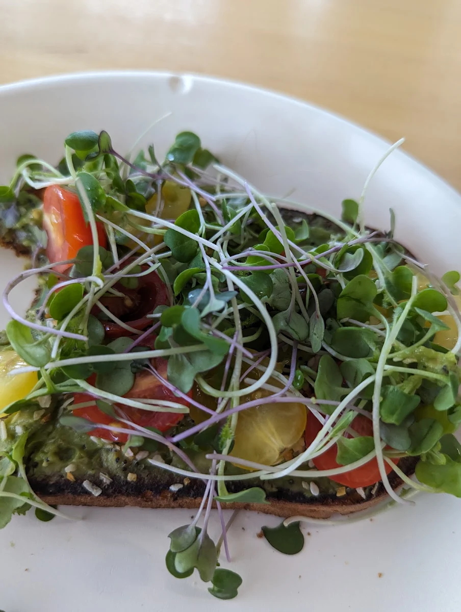 Avocado Toast