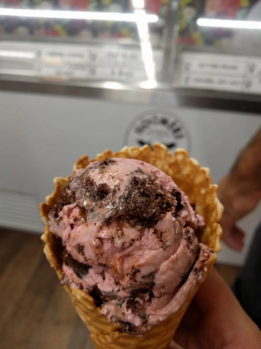 Chocolate Ice Cream in Waffle Cone