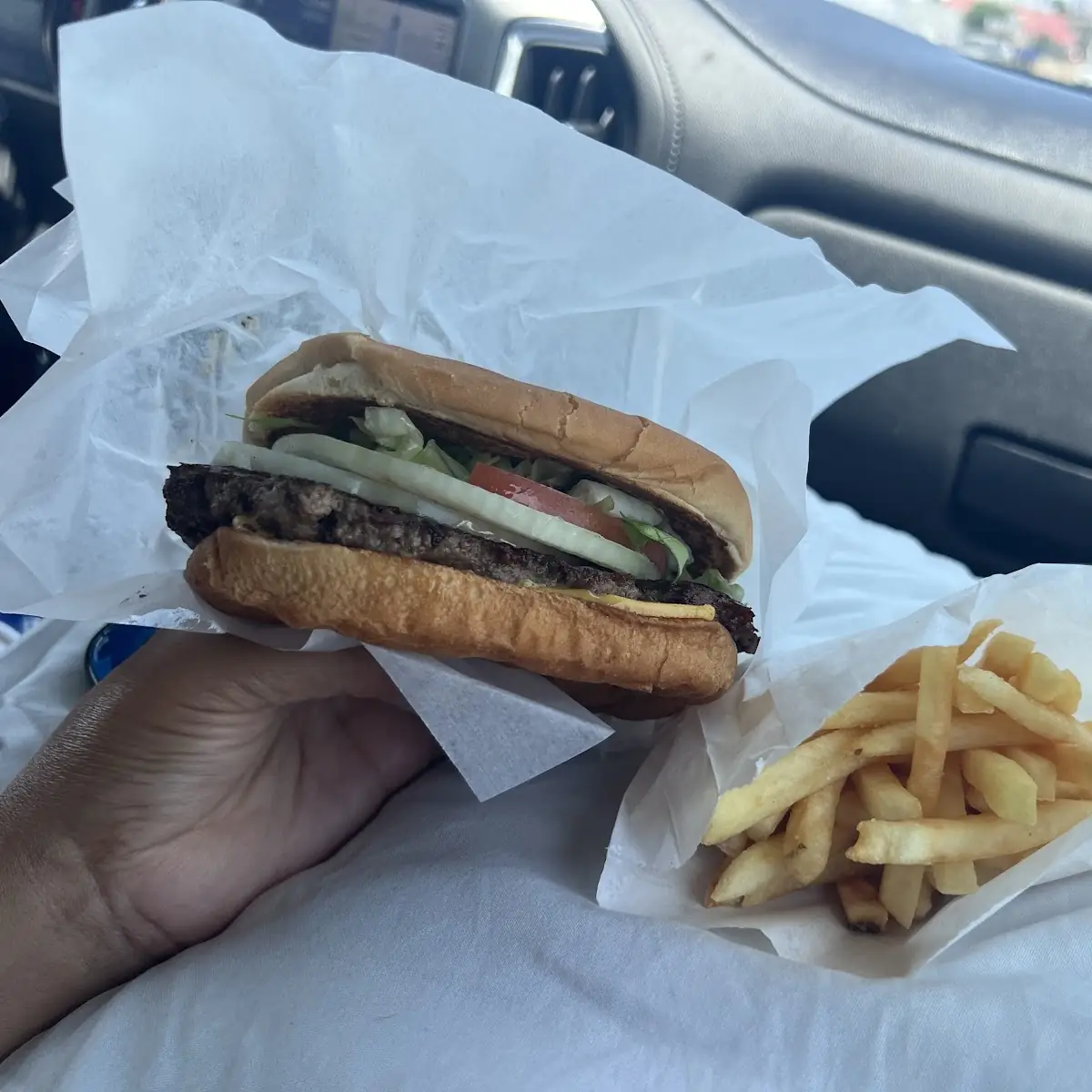 Cheese Burger and Fries