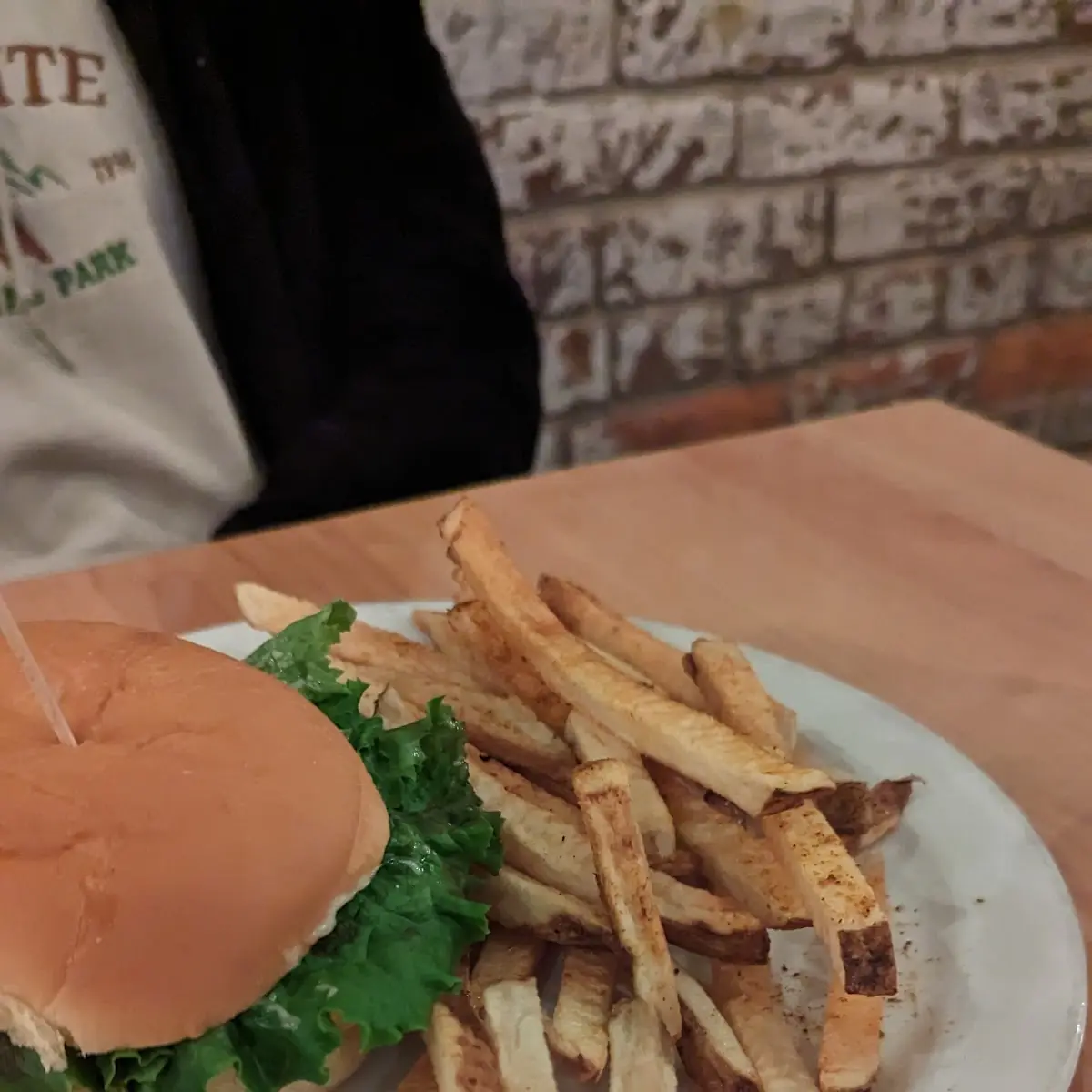 Cheeseburger and Fries