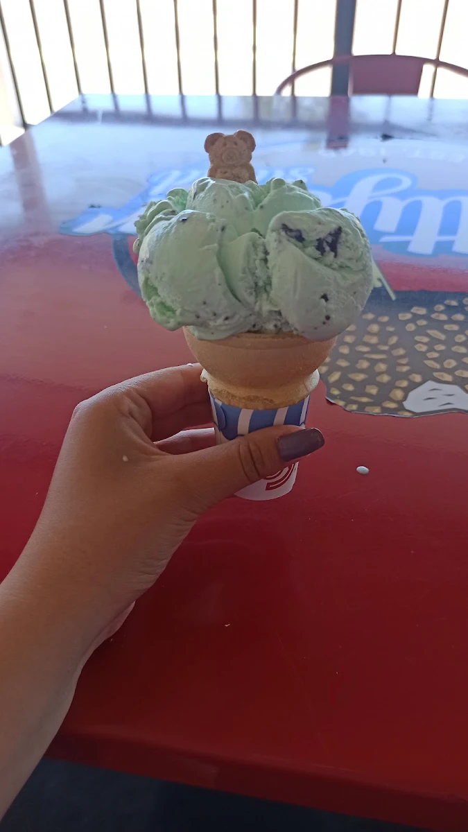 Mint Chip Ice Cream