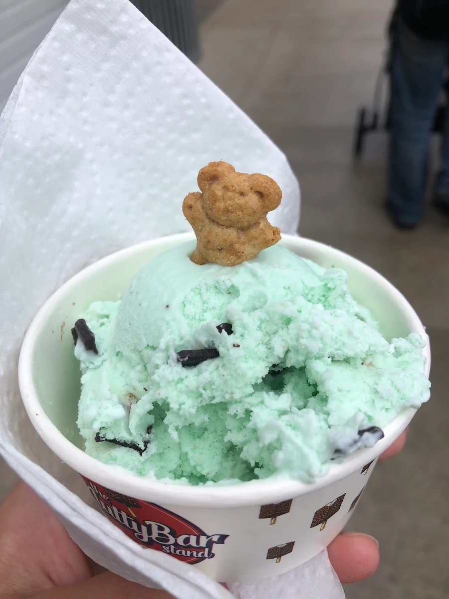 Mint Chocolate Chip Ice Cream
