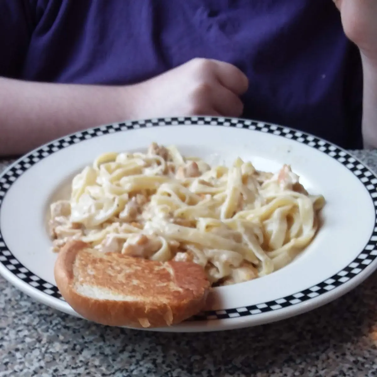 Chicken Alfredo Pasta and Fries