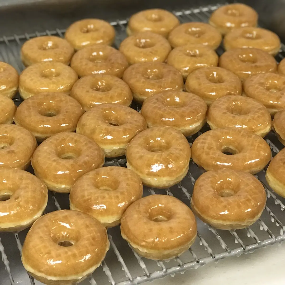 Glazed Donut