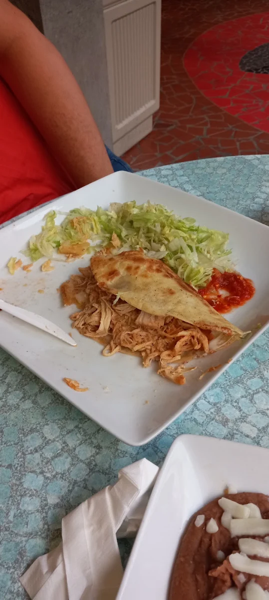 Chicken Fajita