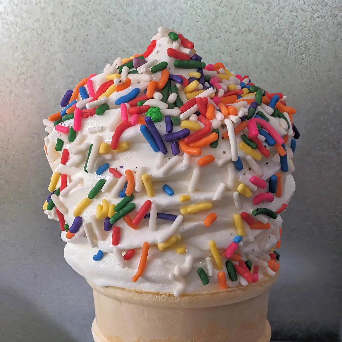 Vanilla Ice Cream with Rainbow Sprinkles