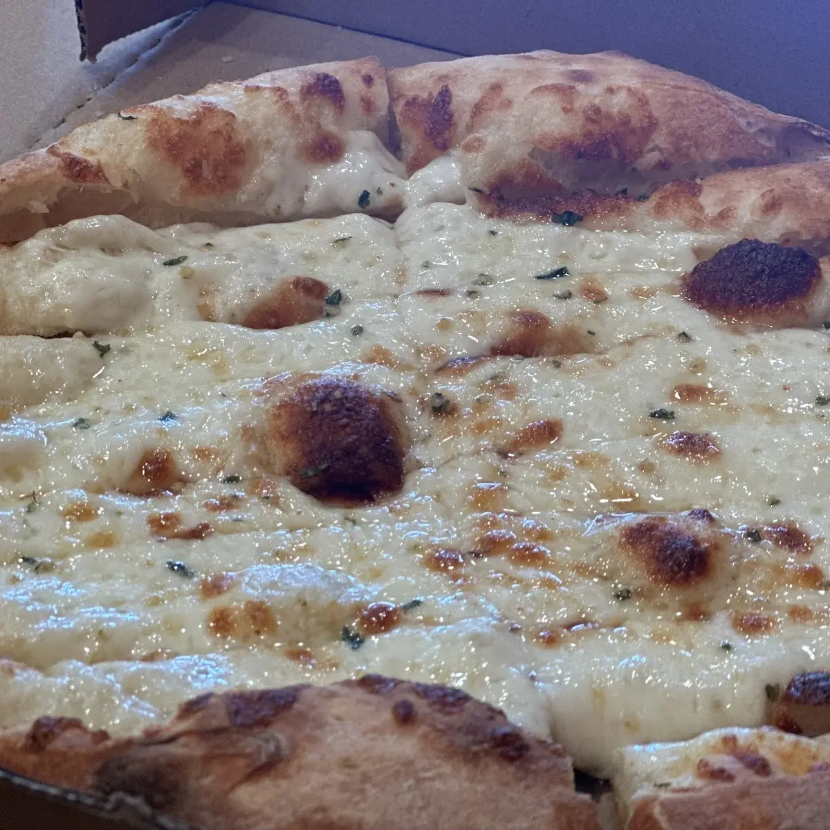 Bread Sticks