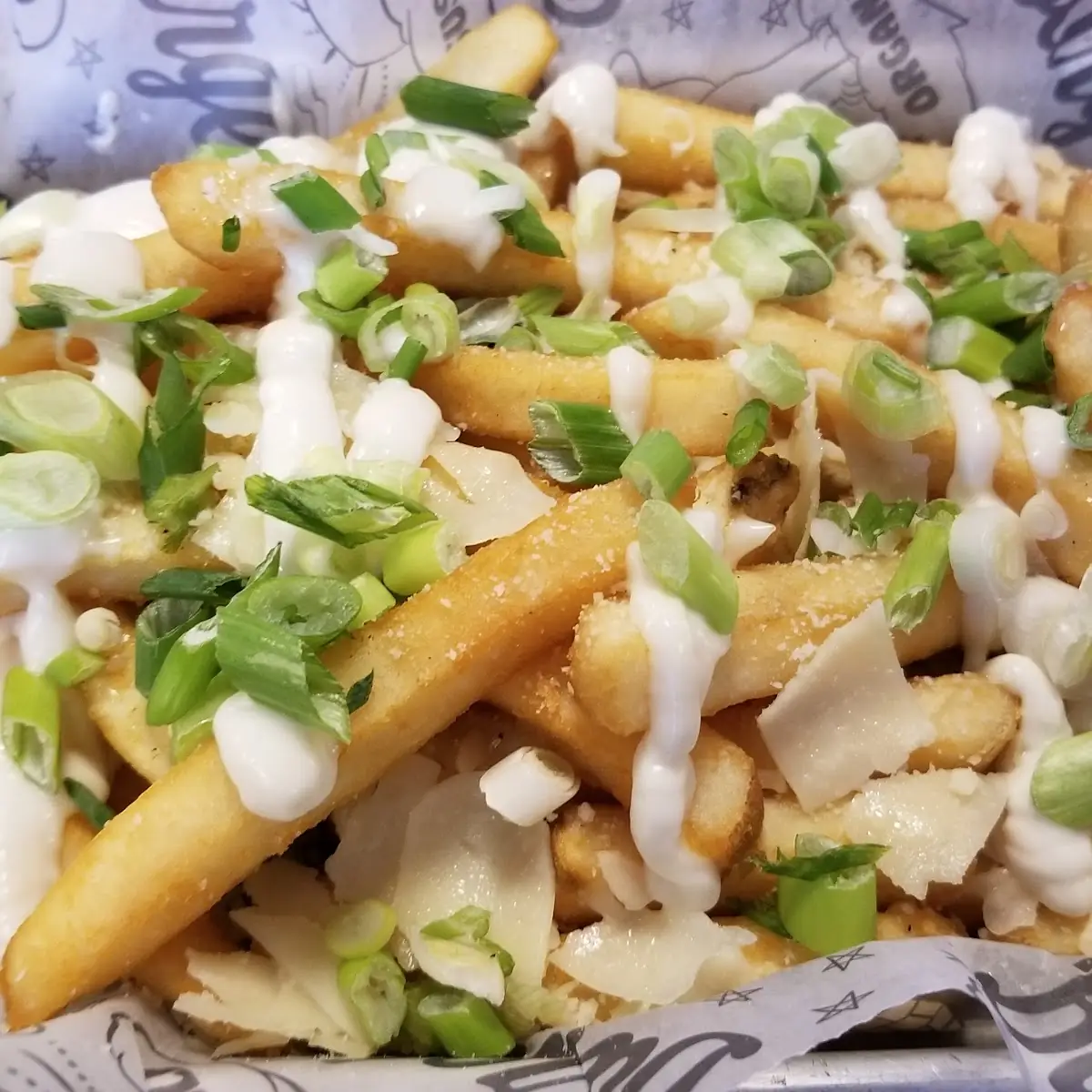 Loaded Fries