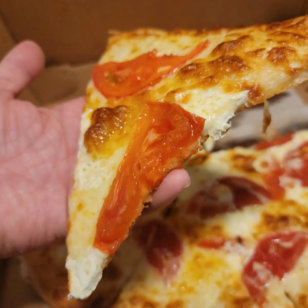 Large Margherita Pizza