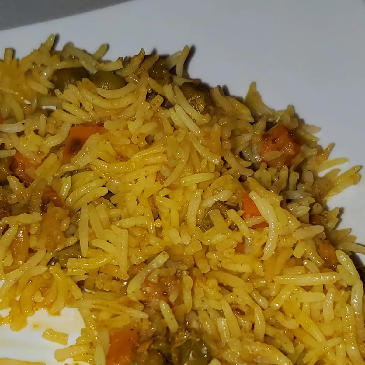 Veg Biryani