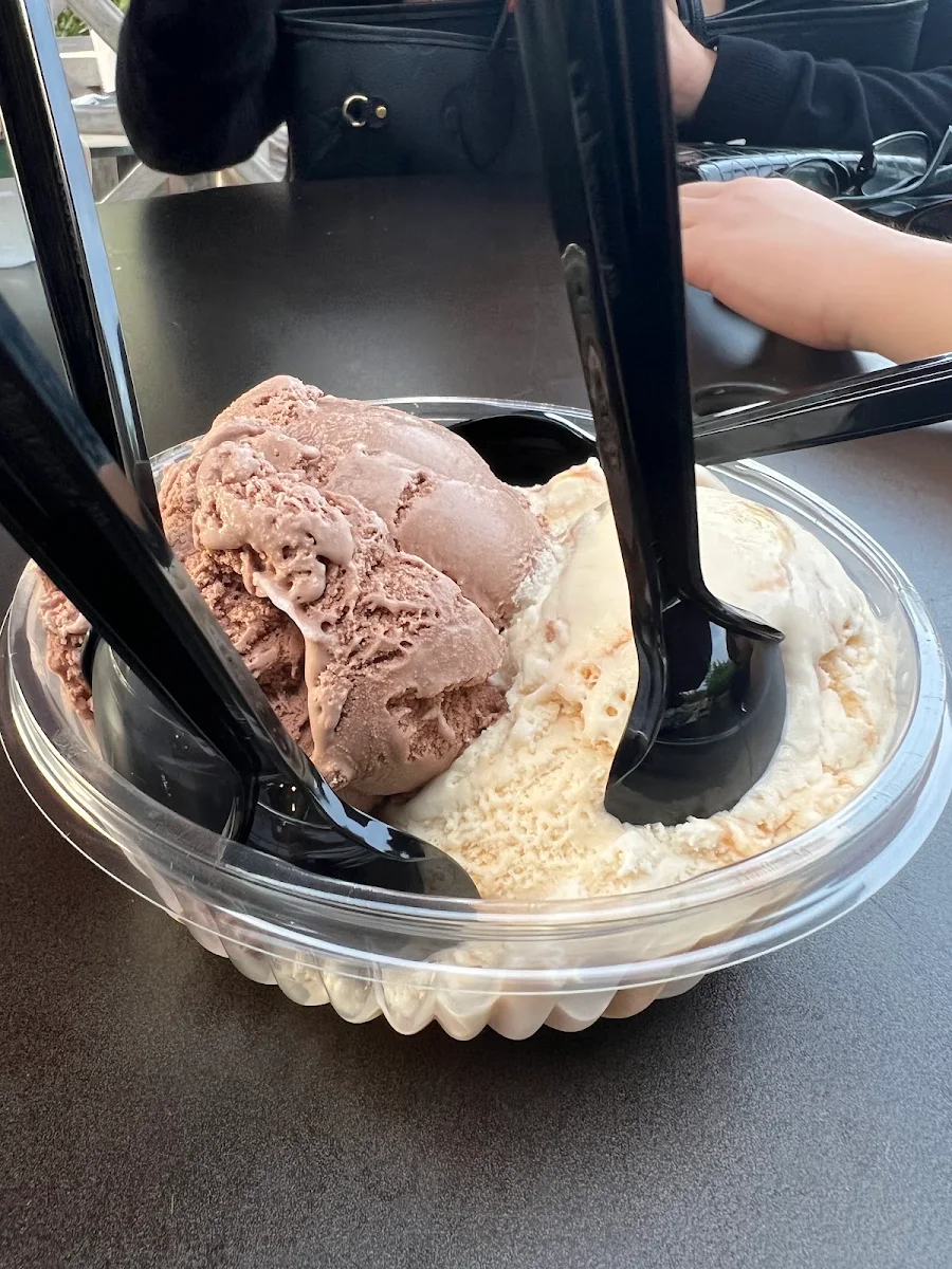 Chocolate and Vanilla Ice Cream