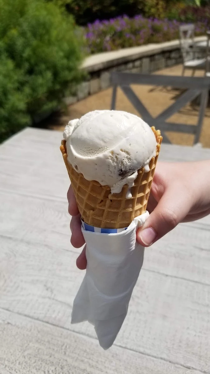 Kids Scoop in a Waffle Cone