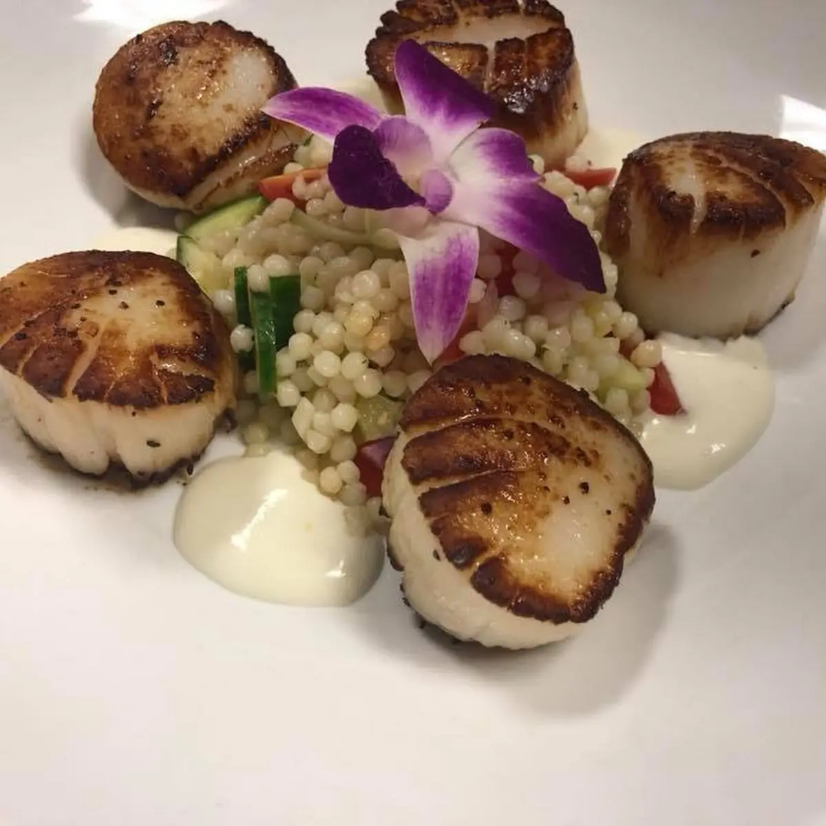 Shrimp & Scallops