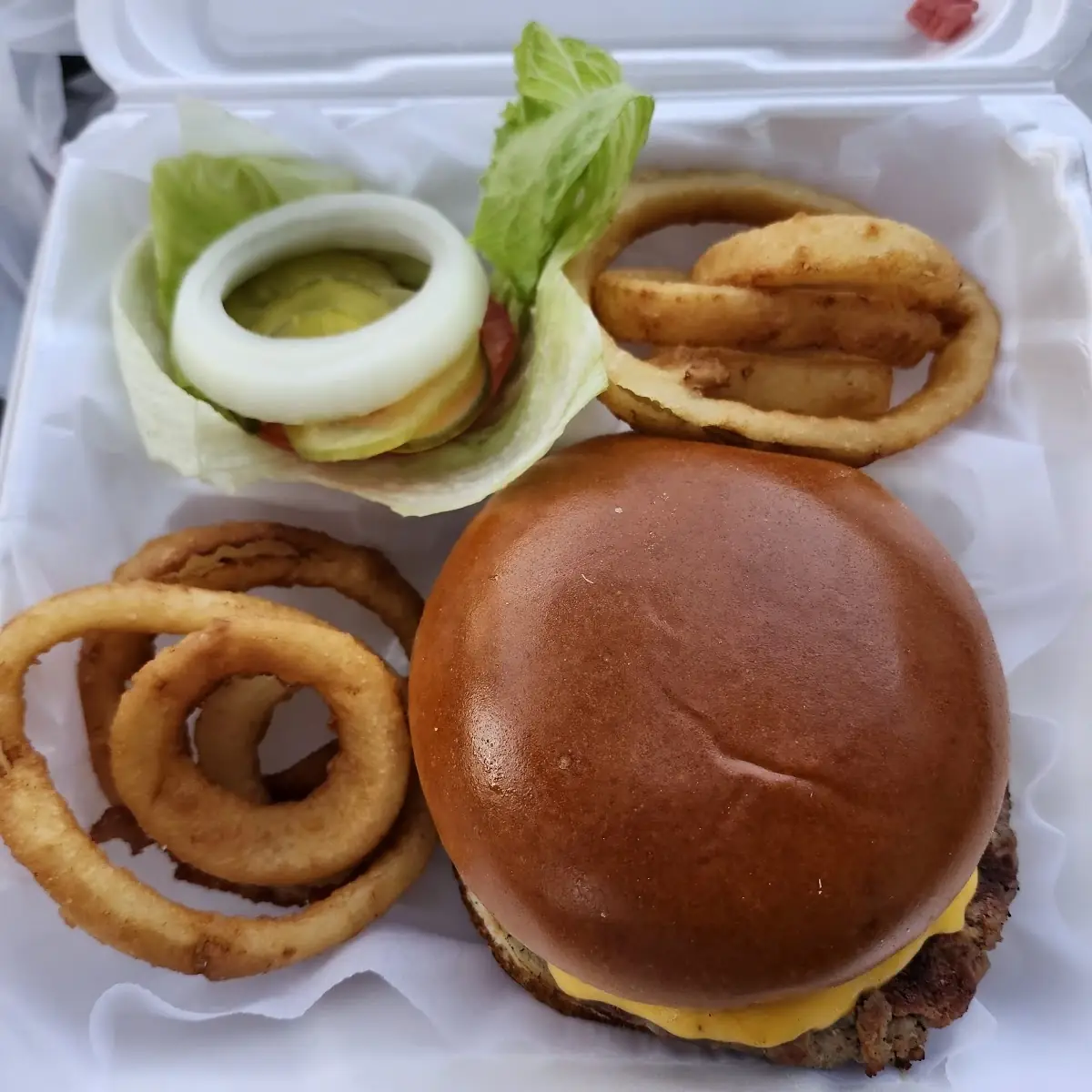 Burger and Onions Rings