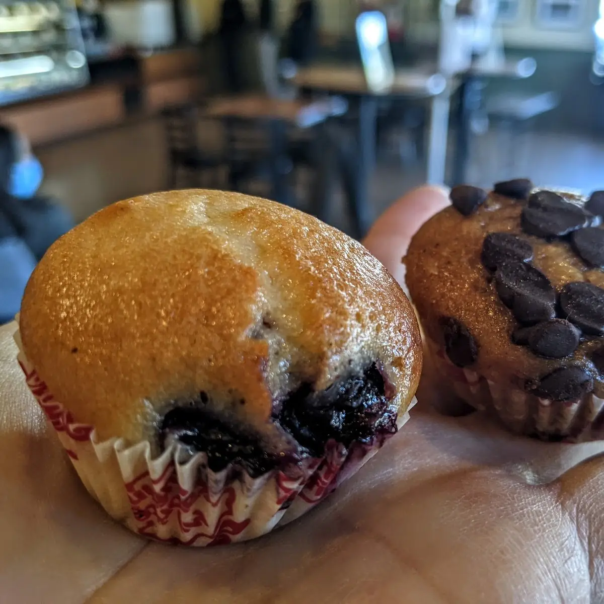 Blueberry Muffin