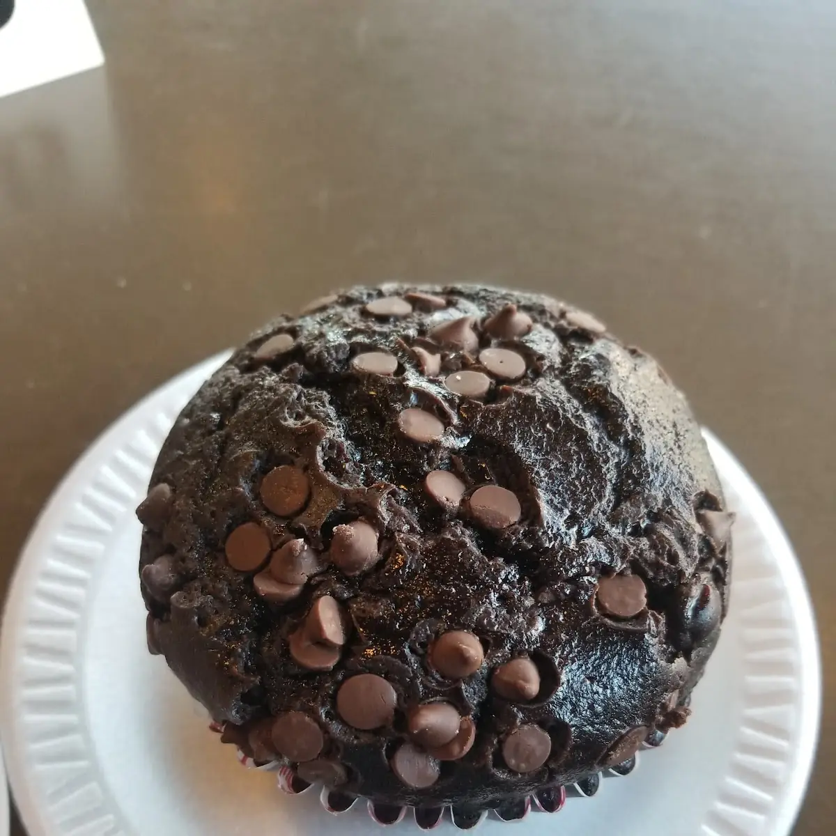 Double Chocolate Muffin