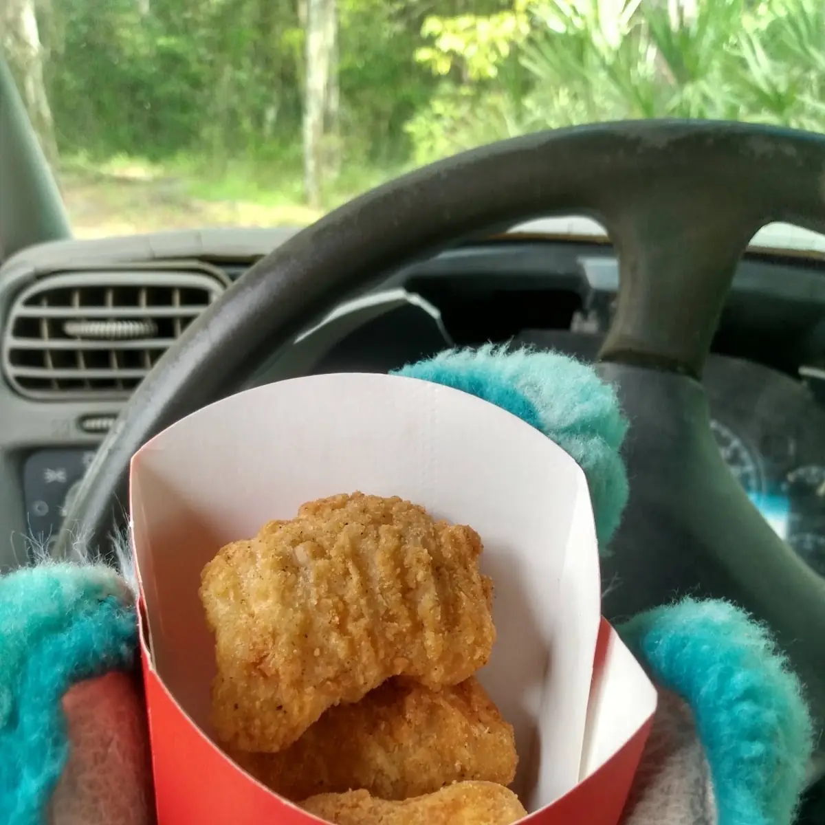 Chicken Nuggets