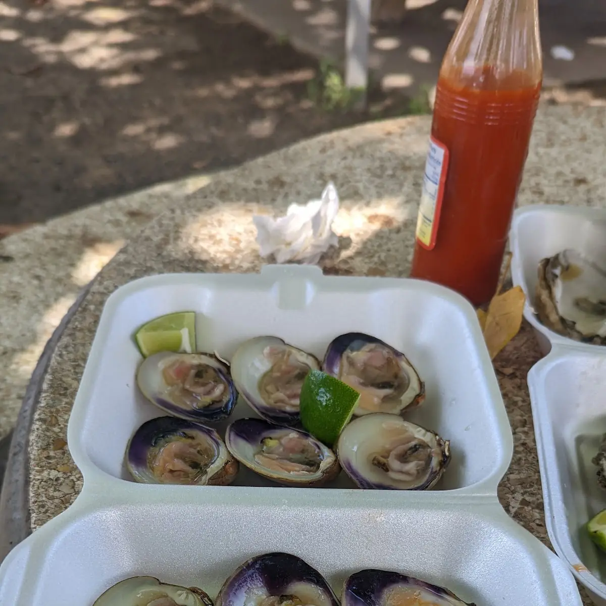 Clams on the Half Shell