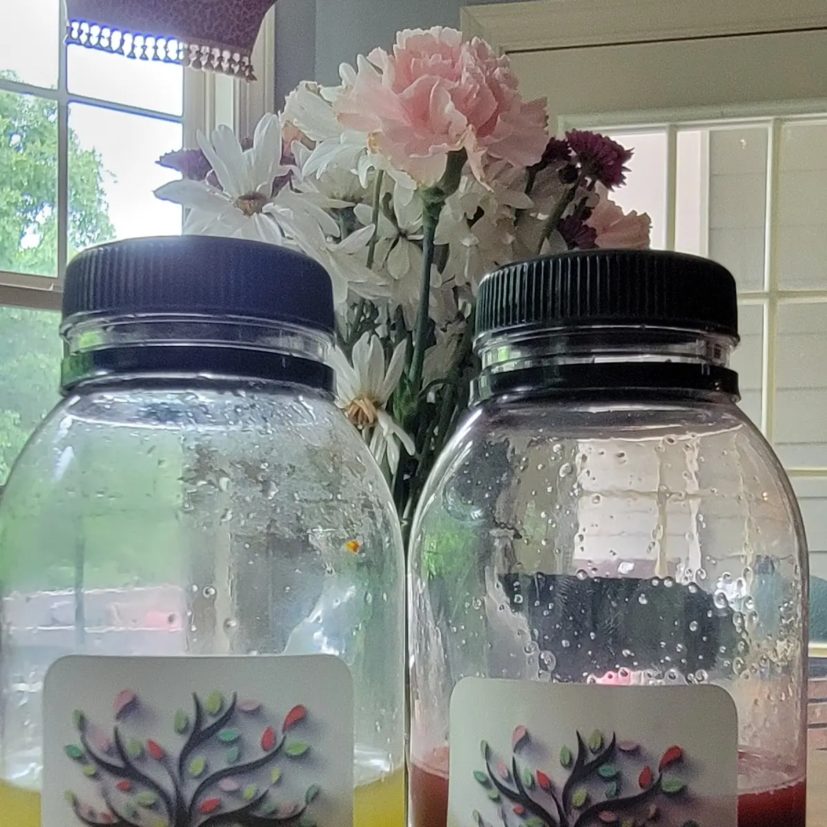 Cel-Q-Non Pasteurized 100 Organic Cold Pressed