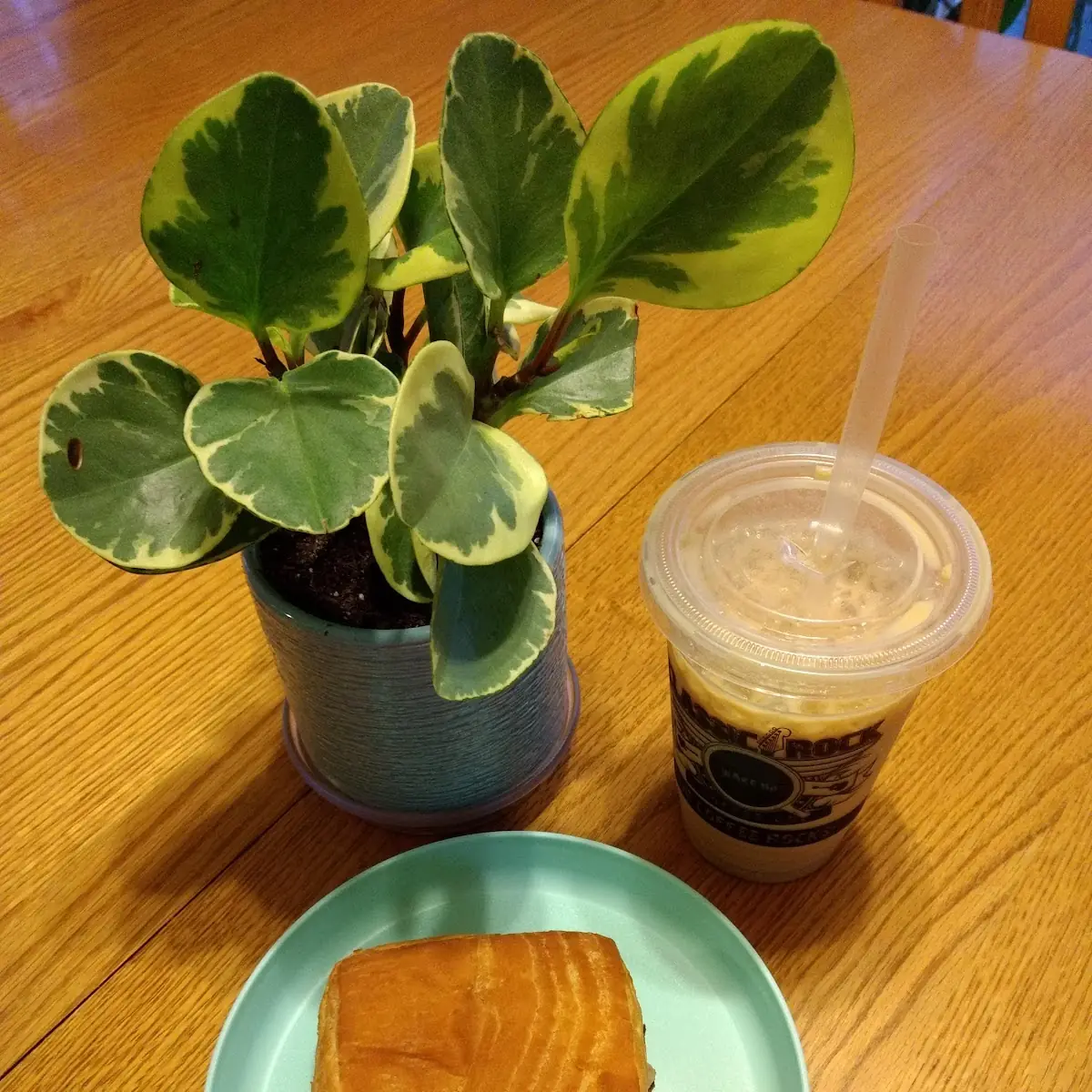 War Pig with a Pumpkin Vanilla Iced Coffee