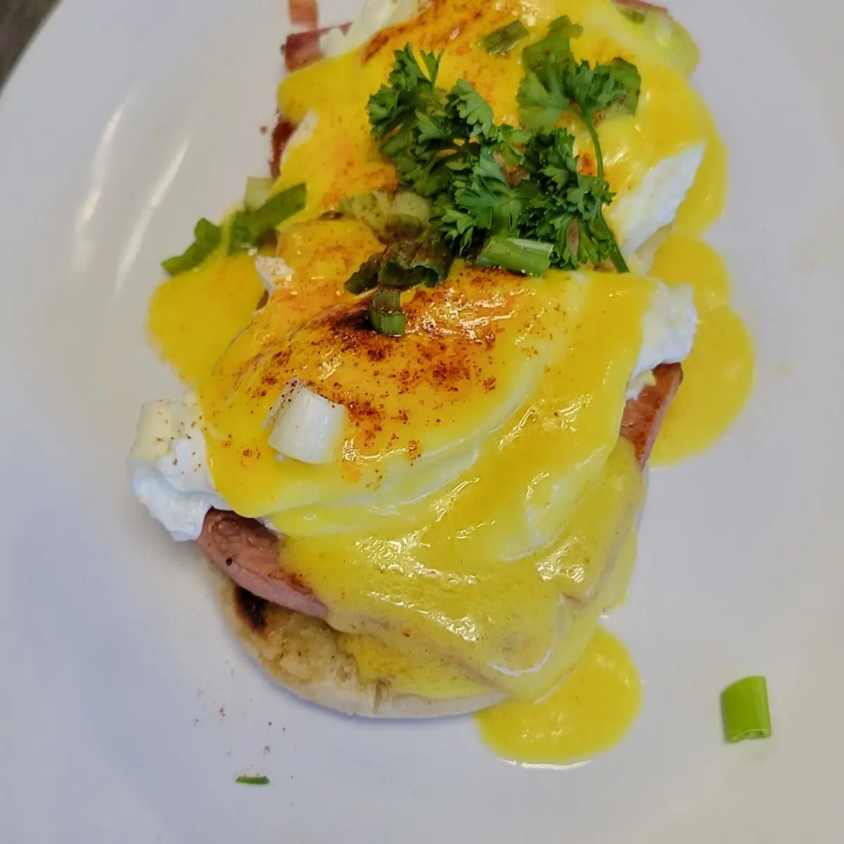Eggs Benedict