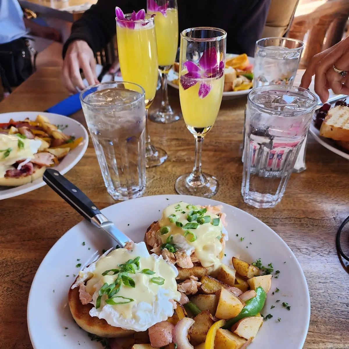 Salmon Eggs Benedict