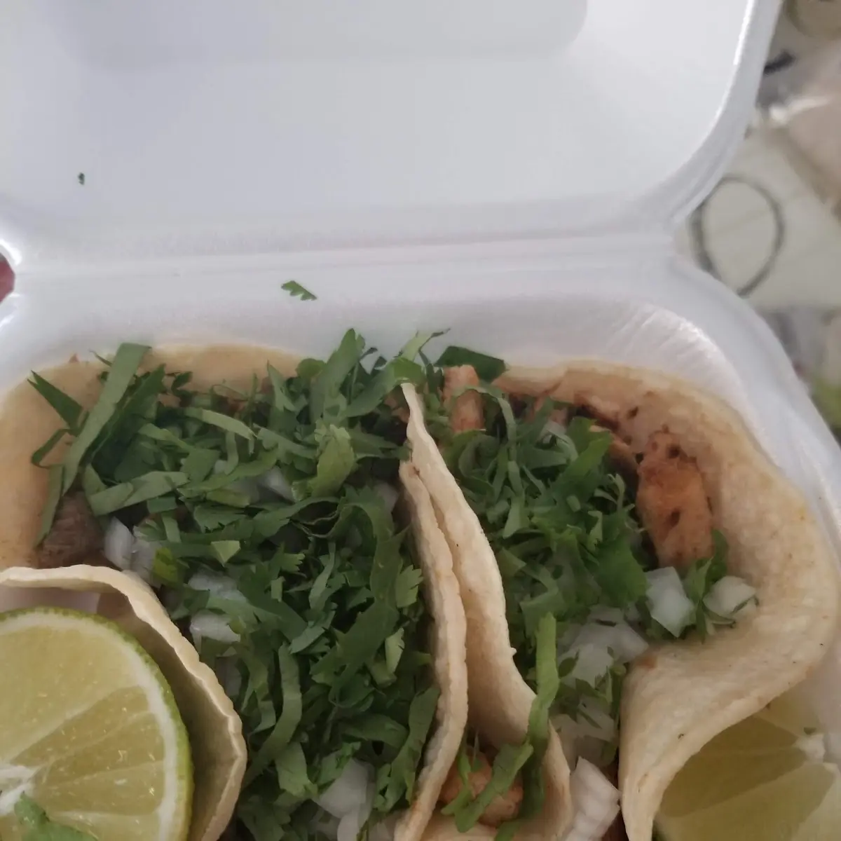 Pollo Tacos