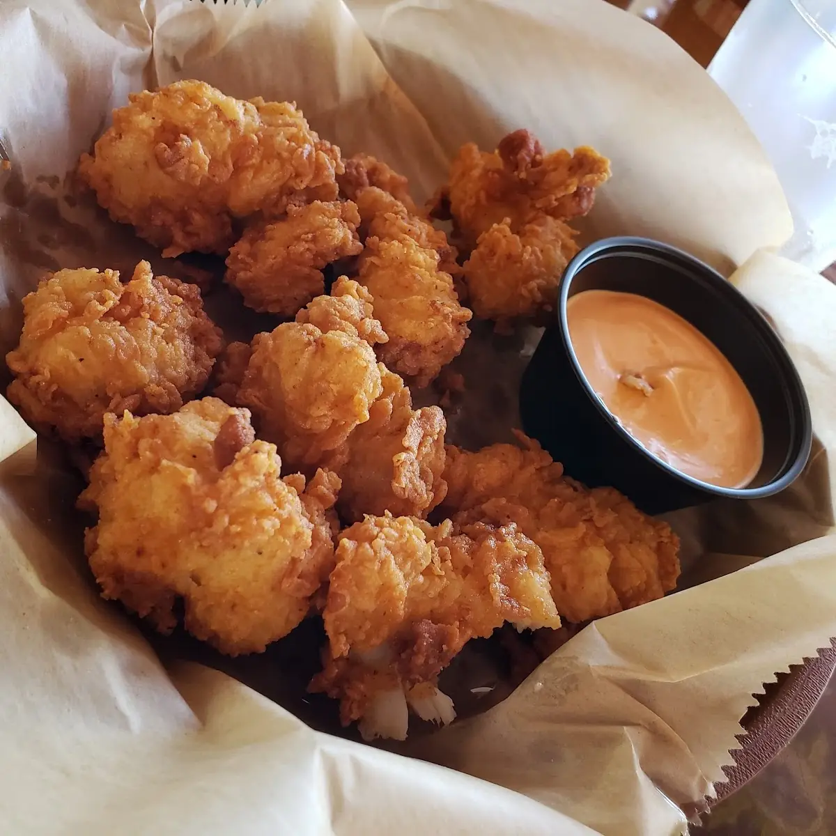 Gator Bites