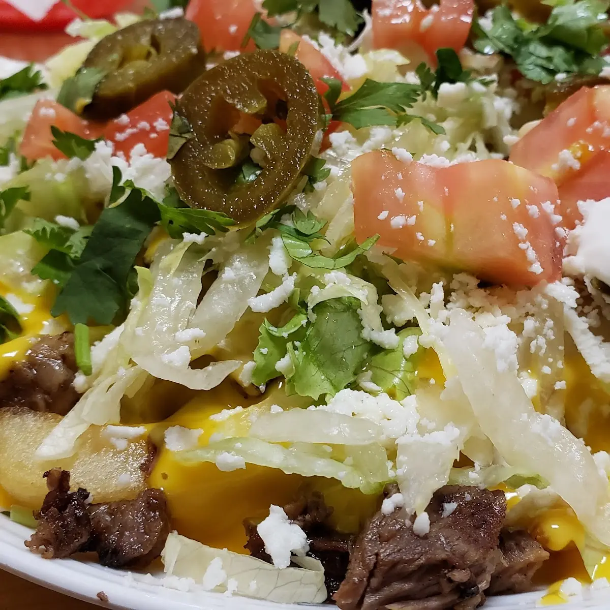 Steak Nacho Fries