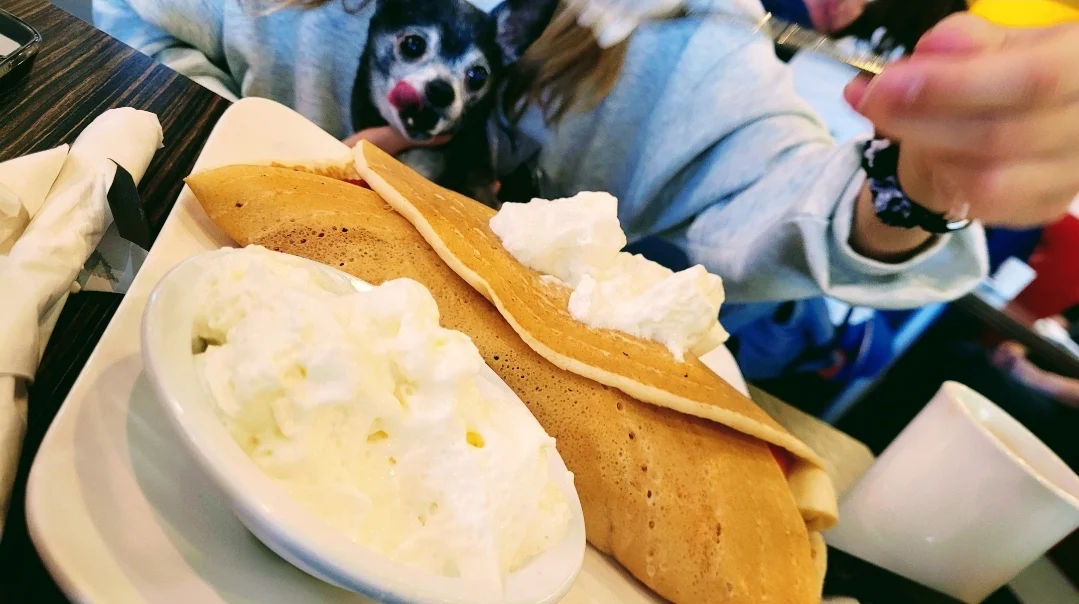 Crêpe fruits frais avec crème anglaise / Fresh Fruit Pancake with English Cream